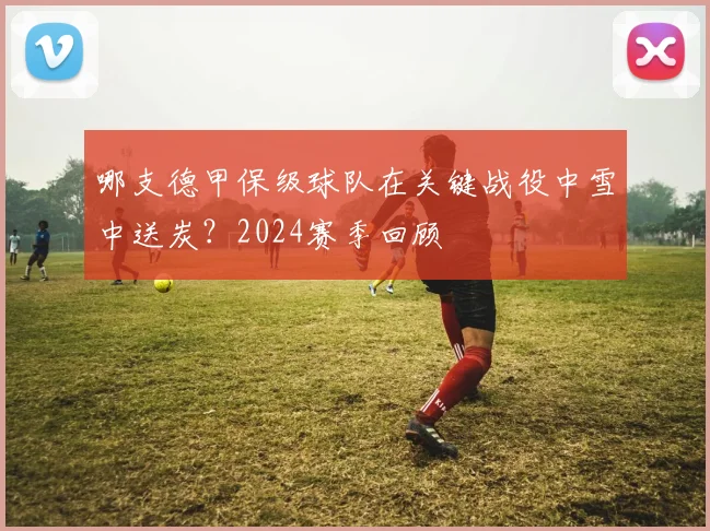 哪支德甲保级球队在关键战役中雪中送炭？2024赛季回顾