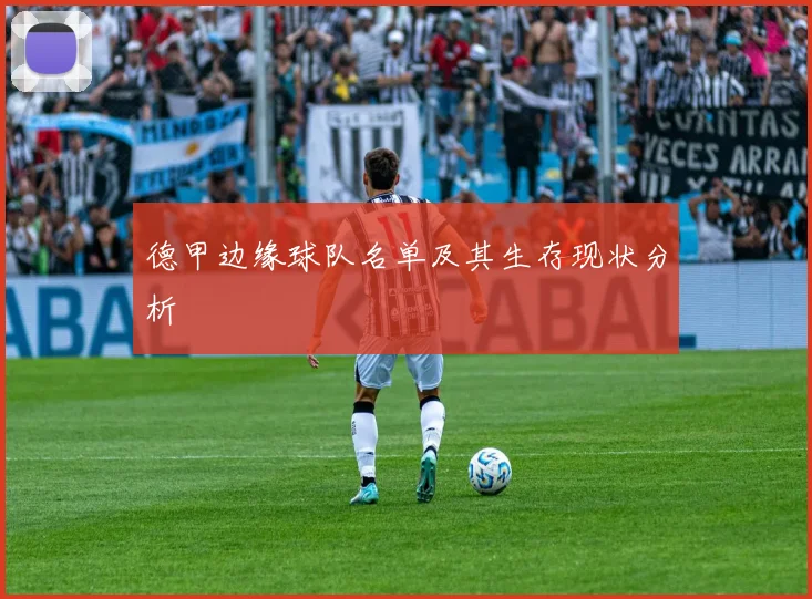 德甲边缘球队名单及其生存现状分析