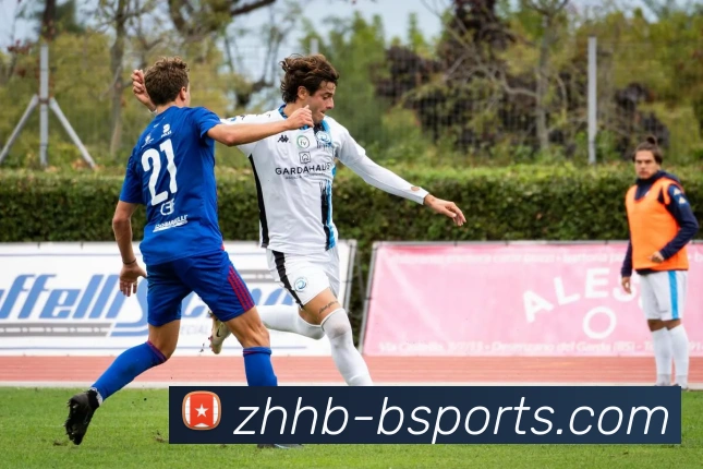 B体育Bsports平台生态图